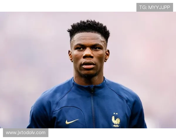 楚阿梅尼职业态度获赞，训练投入度与场上纪律性表现稳健