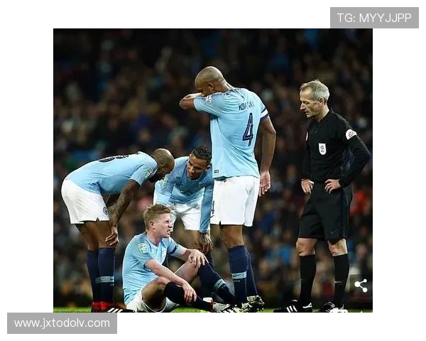 维尔茨伤病频率剖析：是否为玻璃体质的关键因素