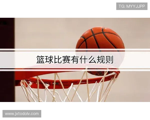 篮球球权交替规则深度解析：了解判定标准与适用场景